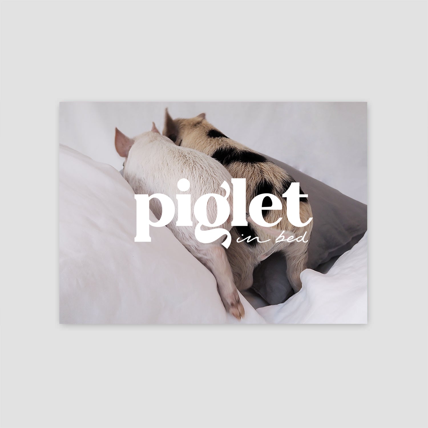 GiftCard-PigletinBed.jpg