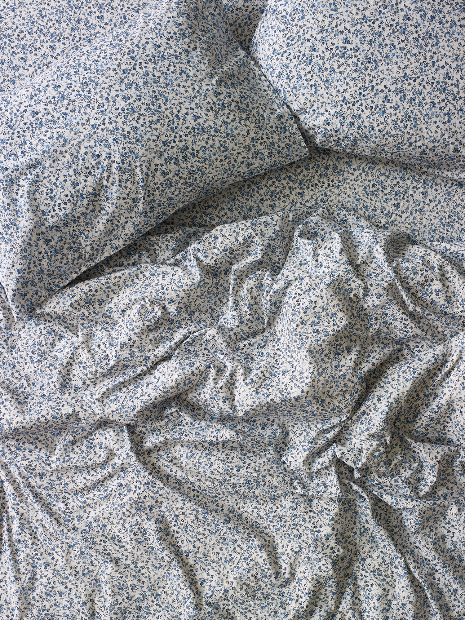 OVERHEAD_MINI_MEADOW_771_copy.jpg