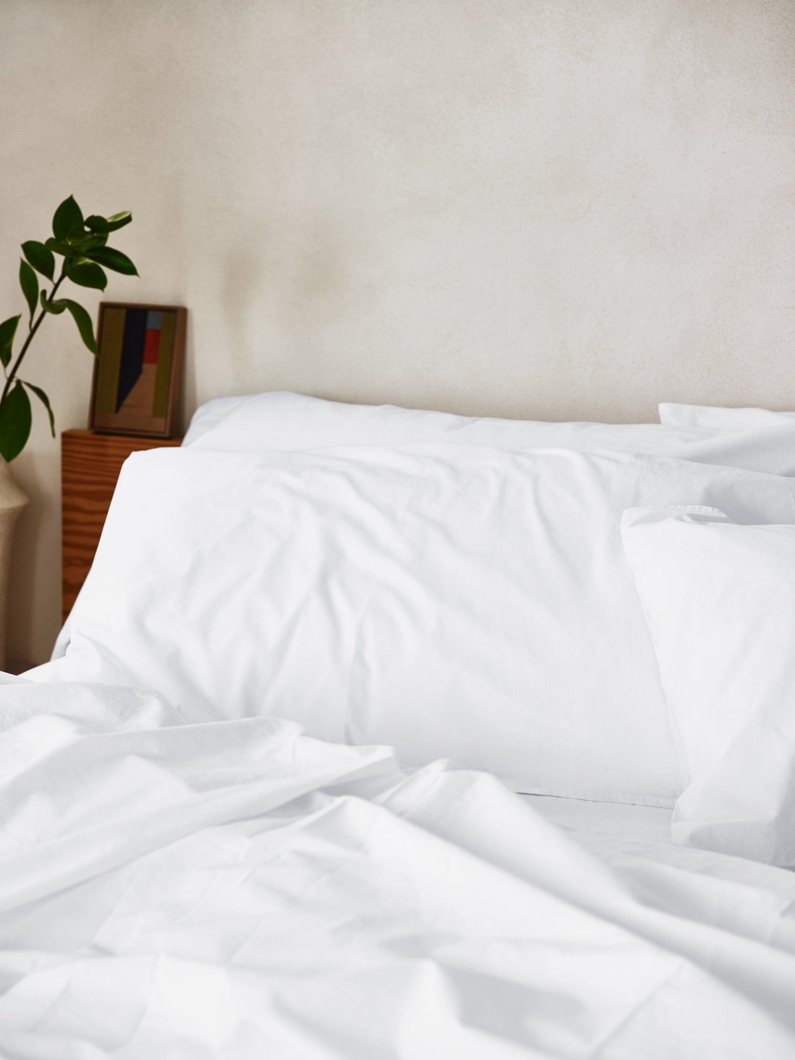 WHITE_COTTON_459_copy.jpg